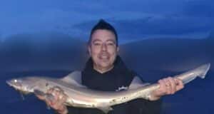 Smooth-hounds and more club records for Killybegs Mariners