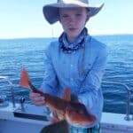 Hussy Gurnard Aug 25 3