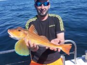 Reef Fishing “On Fire” in Galway Bay