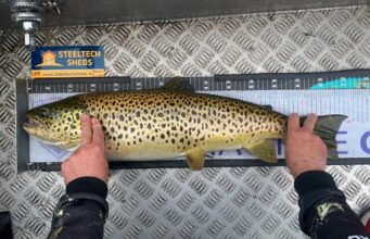 3 predator species. All in a day’s fishing for Connacht Predator Anglers!