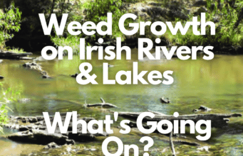 New Episode of Ireland on the Fly: Weed Growth on Irish Rivers & Lakes — What’s Going On?