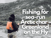 Fishing for sea-run Arctic char – Greenland on the Fly podcast
