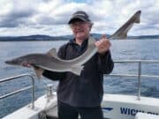 Aborted wreck trip proves a lucky call for Bryan Curtin in Wicklow