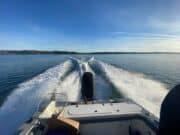 Mixed species for ‘deep water scratchers’ in Cork’s calm seas