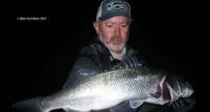 Bass