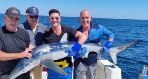 Blue seas, blue skies and blue shark in West Cork