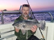 51 sharks in 24hr trip from Courtmac, good skate fishing too wreck fish