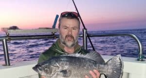 51 sharks in 24hr trip from Courtmac, good skate fishing too wreck fish