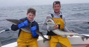 Tope the highlight of some great fishing in Galway Bay