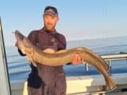 Buckets of blues and loads of ling for anglers on Silver Dawn ling