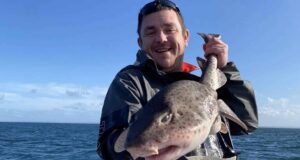 Charter boat anglers off Clare enjoy good autumn fishing huss