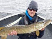 Pike flying high for Italian anglers at Angling Services Ireland