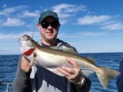 Weather wrecks the fishing… but wrecks fish well in Wicklow
