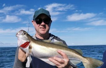 Weather wrecks the fishing… but wrecks fish well in Wicklow