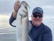 Bass, wrasse, mullet and more for east Cork lure anglers bass