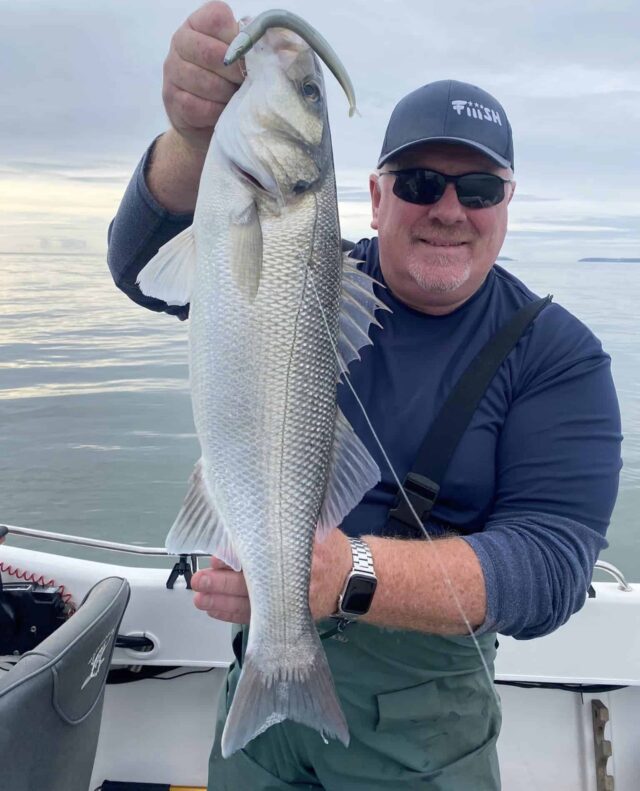 bass