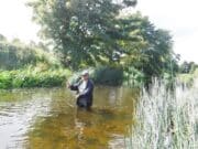 Good trout fishing for visiting angler on the Maigue Maigue