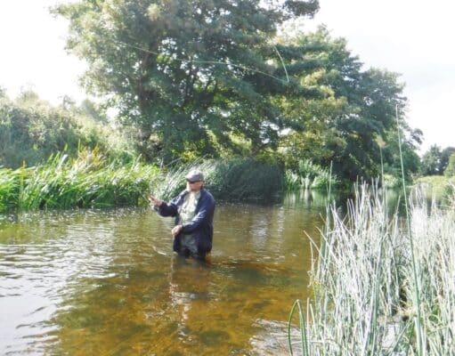 Good trout fishing for visiting angler on the Maigue Maigue