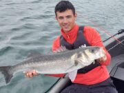 Great bass fishing reported from East Cork venues bass