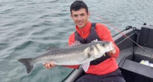 Great bass fishing reported from East Cork venues bass