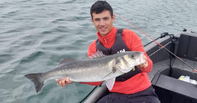 bass