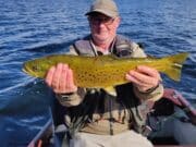 Lively days on Lough Arrow before seasons end trout