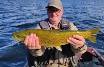 trout