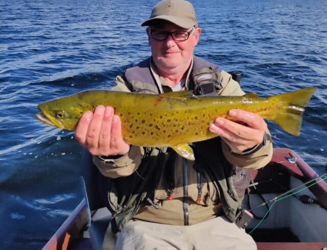 trout