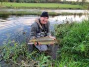 salmon