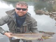 Low water leads to lethargic salmon on the River Moy