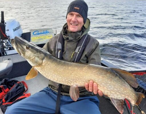 A Big Irish Pike
