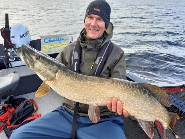 A Big Irish Pike