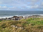 Mackerel anglers can broaden their horizons in Galway