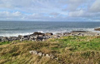 Mackerel anglers can broaden their horizons in Galway