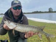Wobble leads to treble double at Leinster Pike Anglers winter league