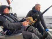 Irish Angling Update π£ 28 October 2022 Playing a bluefin tuna onboard Fiona Tee