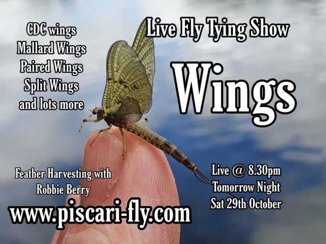 fly tying wings