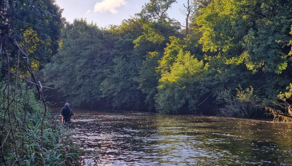 River Bandon