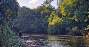Bandon rises and salmon caught River Bandon