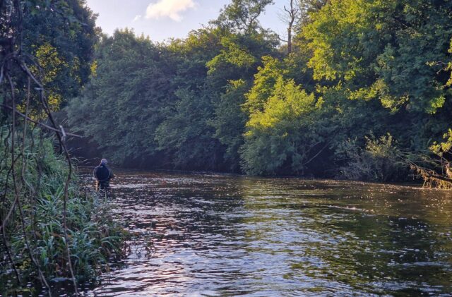 River Bandon