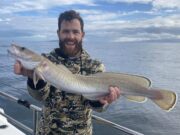 Good fishing rounds off the season in Carrigaholt ling