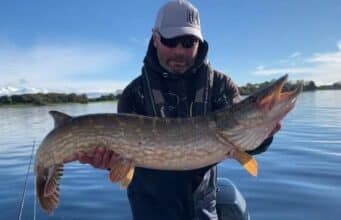 pike