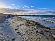 Irish Angling Update 7 October 2022