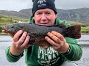 Four specimen wrasse in a day for John in Donegal!