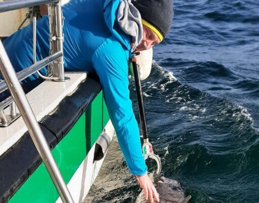 Frantic tuna action for MV Fiona Tee in Donegal Bay