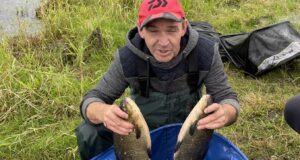bream