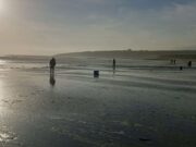 Tough evening, but some good fish for Cork SAC at Whiting Bay Whiting Bay