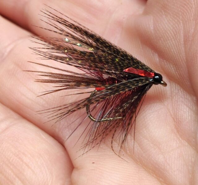 Claret Dabbler, Lough Arrow