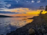 Irish Angling Update 11 November 2022
