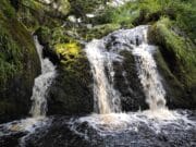 Irish Angling Update – 4 Nov 2022
